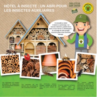 Hotel à insectes