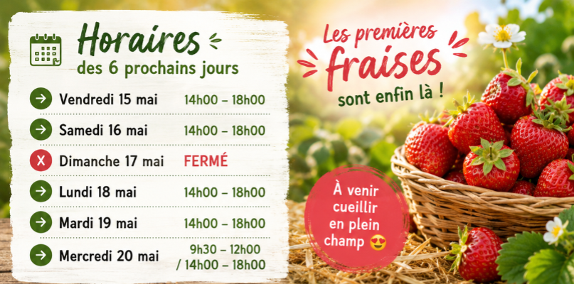 Horaires des 6 prochains jours