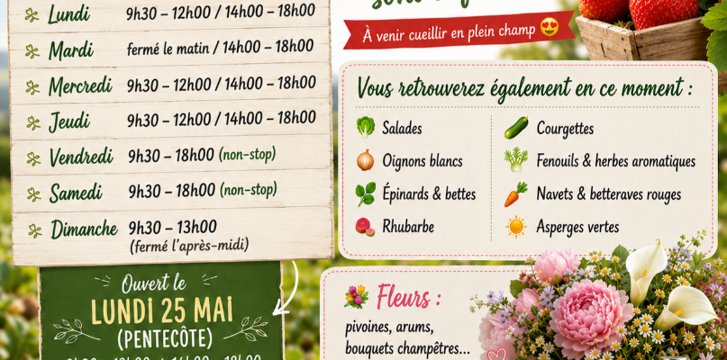 Fraises