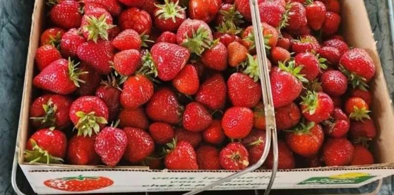 ALERTE ROUGES: Fraises