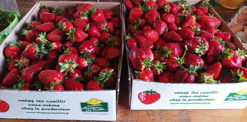 fraises